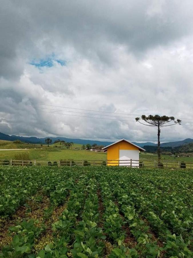 Cabana Caminho Das Borboletas Bom Retiro  Eksteriør billede